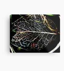 "Unclothed" Metal Print