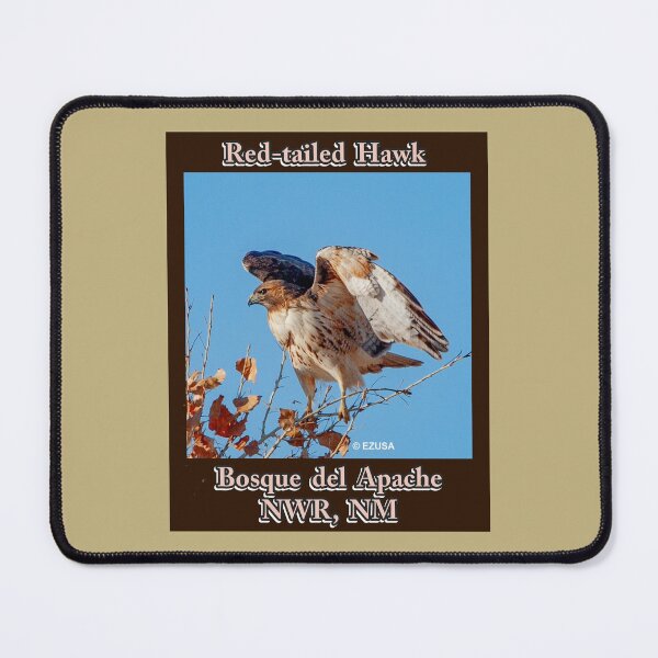 Item preview, Give Someone You Love The Bird: Red-tailed Hawk, Bosque del Apache NWR, NM. designed and sold by MoreEZUSA-Here.