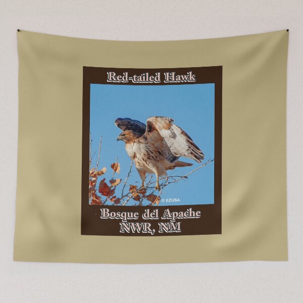 Item preview, Give Someone You Love The Bird: Red-tailed Hawk, Bosque del Apache NWR, NM. designed and sold by MoreEZUSA-Here.