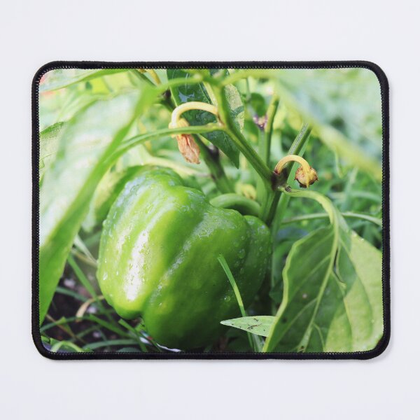 Item preview, Green Bell Pepper designed and sold by CJGrimes.