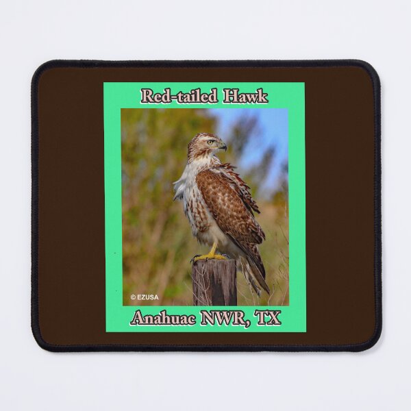 Item preview, Give The Bird To Your Lover: Red-tailed Hawk, Anahuac NWR, Texas. designed and sold by MoreEZUSA-Here.
