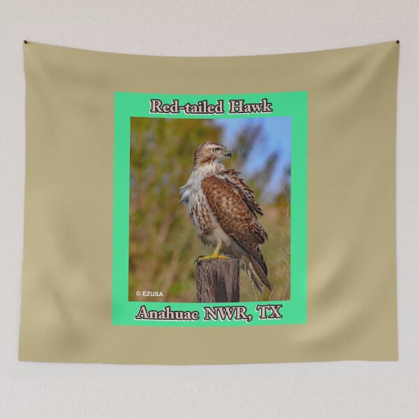 Item preview, Give The Bird To Your Lover: Red-tailed Hawk, Anahuac NWR, Texas. designed and sold by MoreEZUSA-Here.
