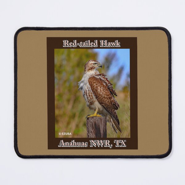 Item preview, Give Someone You Love The Bird: Red-tailed Hawk, Anahuac NWR, Texas. designed and sold by MoreEZUSA-Here.