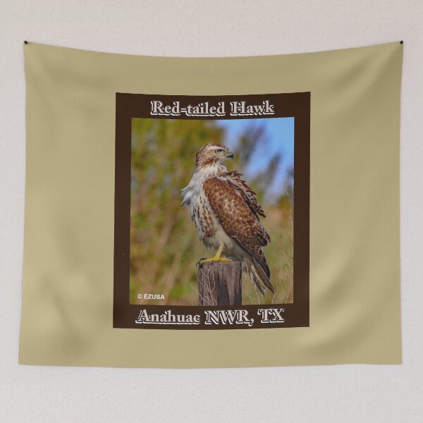 Item preview, Give Someone You Love The Bird: Red-tailed Hawk, Anahuac NWR, Texas. designed and sold by MoreEZUSA-Here.