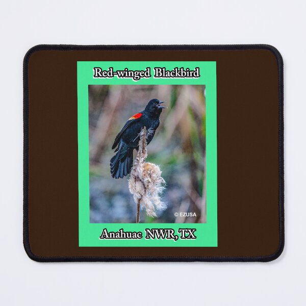 Item preview, The Perfect Gift For A Bird Lover: Red-winged Blackbird, Anahuac NWR, Texas. designed and sold by MoreEZUSA-Here.