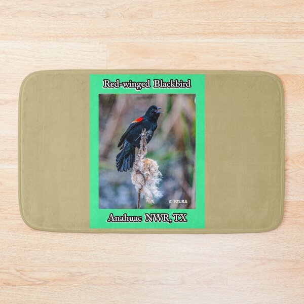 Item preview, The Perfect Gift For A Bird Lover: Red-winged Blackbird, Anahuac NWR, Texas. designed and sold by MoreEZUSA-Here.