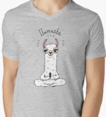 Llamaste Men's V-Neck T-Shirt