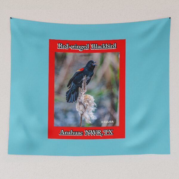 Item preview, For The Bird Lover In You: Red-winged Blackbird, Anahuac NWR, Texas. designed and sold by MoreEZUSA-Here.