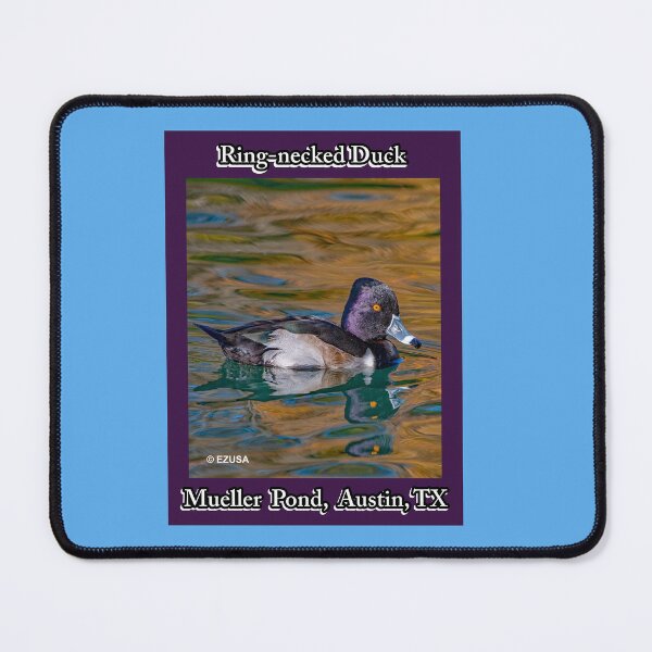 Item preview, Give The Bird To Your Lover: Ring-necked Duck, Mueller Pond, Austin, Texas. designed and sold by MoreEZUSA-Here.