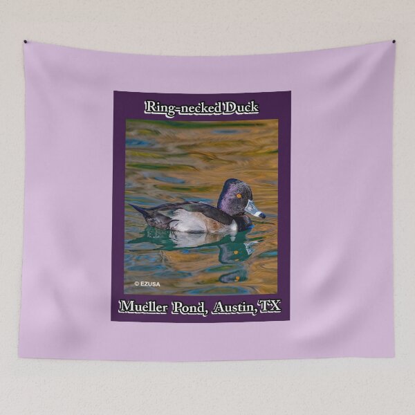 Item preview, Give The Bird To Your Lover: Ring-necked Duck, Mueller Pond, Austin, Texas. designed and sold by MoreEZUSA-Here.