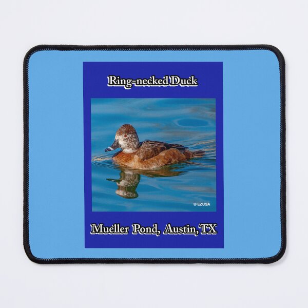 Item preview, The Perfect Gift For A Bird Lover: Ring-necked Duck, Mueller Pond, Austin, Texas. designed and sold by MoreEZUSA-Here.