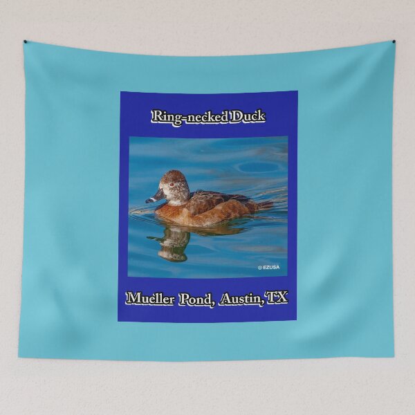 Item preview, The Perfect Gift For A Bird Lover: Ring-necked Duck, Mueller Pond, Austin, Texas. designed and sold by MoreEZUSA-Here.