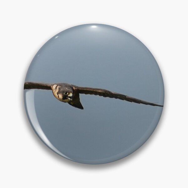 Item preview, Flight of the Peregrine designed and sold by fototaker Tony.