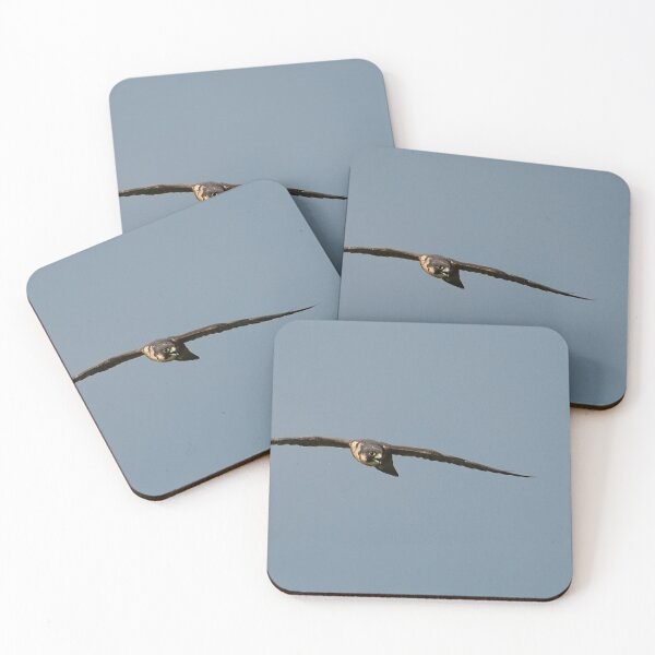 Item preview, Flight of the Peregrine designed and sold by fototaker Tony.