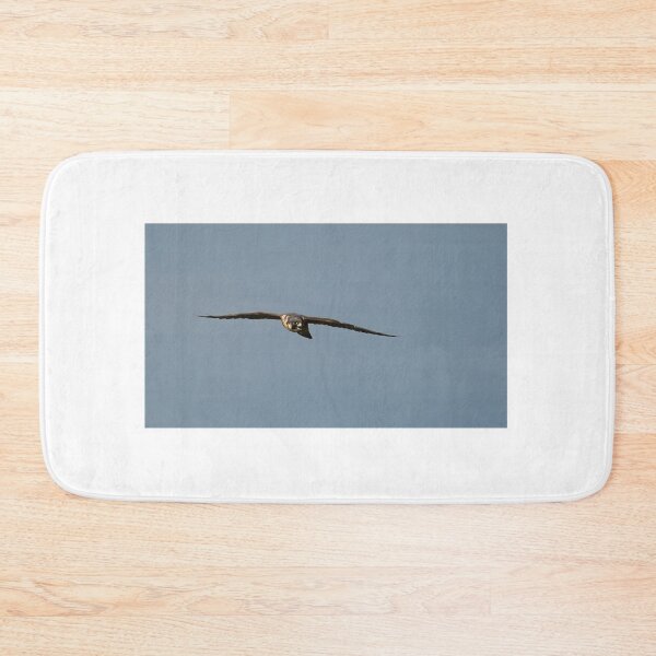 Item preview, Flight of the Peregrine designed and sold by fototaker Tony.
