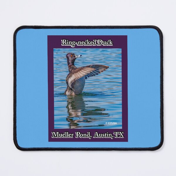 Item preview, For The Bird Lover In You: Ring-necked Duck, Mueller Pond, Austin, Texas. designed and sold by MoreEZUSA-Here.
