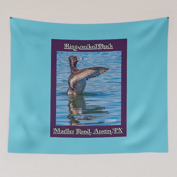 Item preview, For The Bird Lover In You: Ring-necked Duck, Mueller Pond, Austin, Texas. designed and sold by MoreEZUSA-Here.
