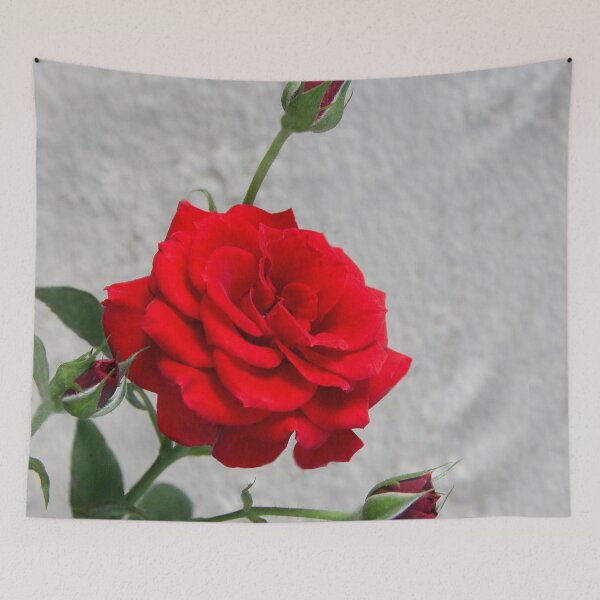 Item preview, Ruby Red Rose designed and sold by heatherfriedman.