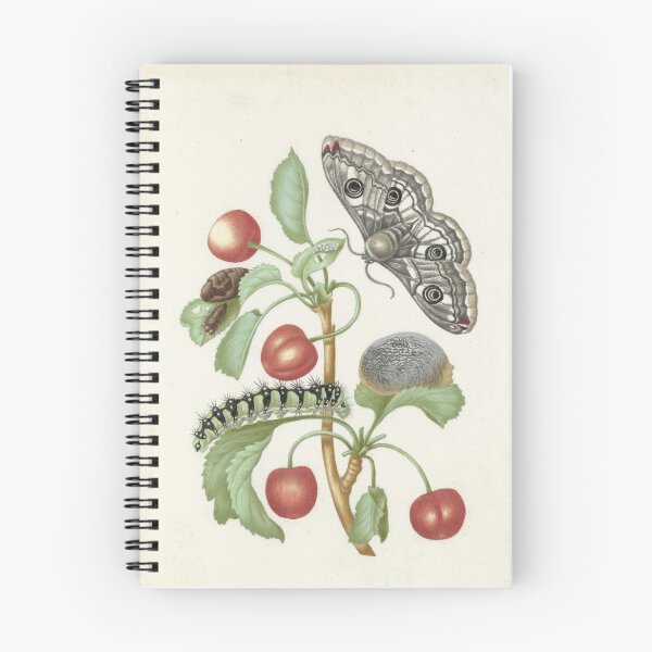 Item preview, Turn of the Night Pope, Maria Sibylla Merian, 1679 designed and sold by Vintage Wall Art.