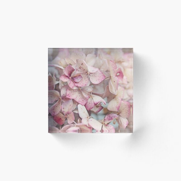 Vintage Hydrangea Acrylic Block