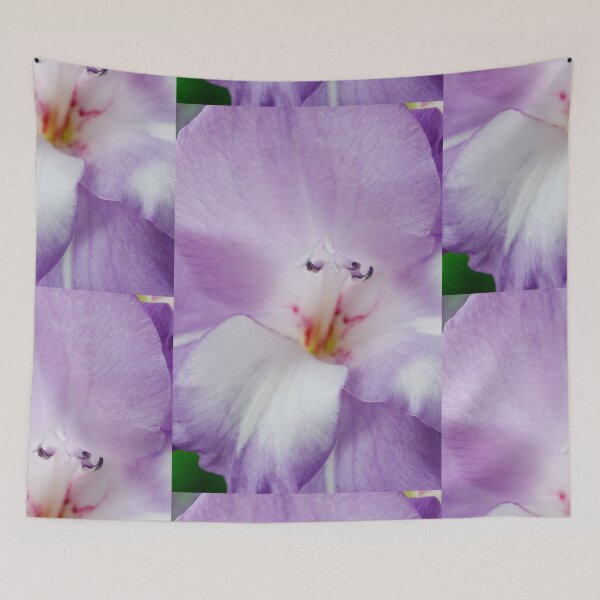 Item preview, Gladiolus  'Nori'   designed and sold by Chris Burrows.