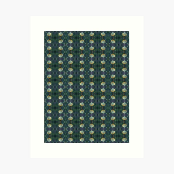 Item preview, Isopogon anemonifolius by Adelaide Artist Avril Thomas at Magpie Springs designed and sold by MagpieSprings.
