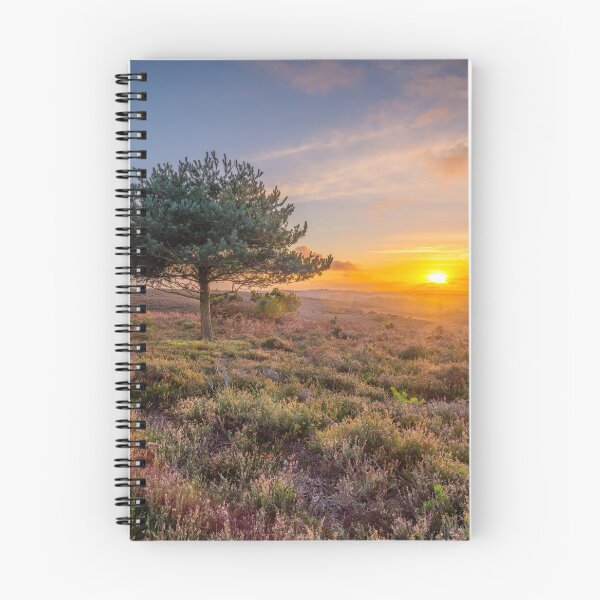 Item preview, Lone tree sunset designed and sold by assaf.