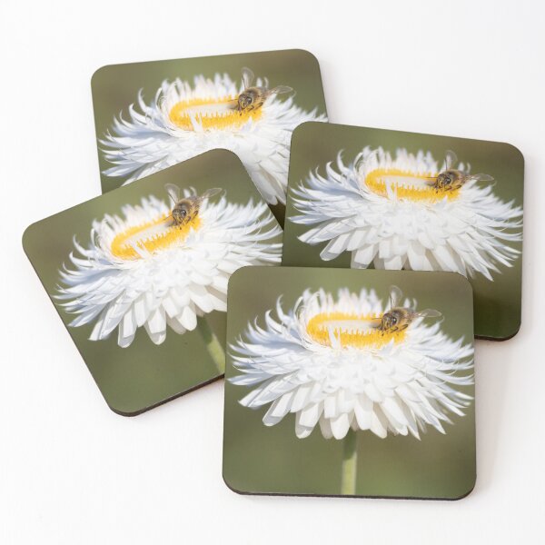 Item preview, Bee on white and gold daisy flower designed and sold by Kate1art.