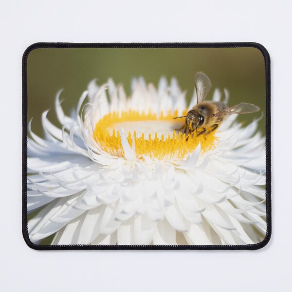Item preview, Bee on white and gold daisy flower designed and sold by Kate1art.