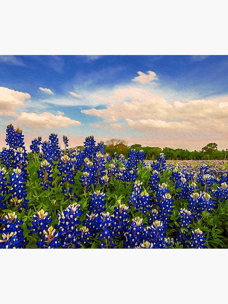 Texas" Throw Blanket by ErianAndre Redbubble