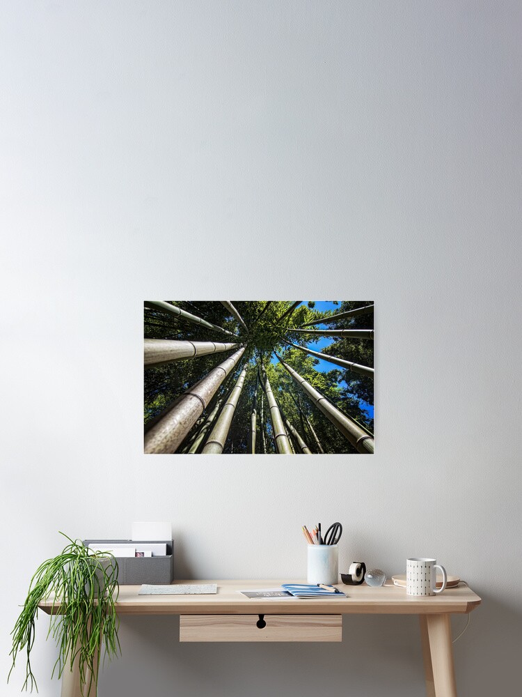 Imagen 2 de 3, Póster con la obra Bamboo Shoots, diseñada y vendida por FranJ.