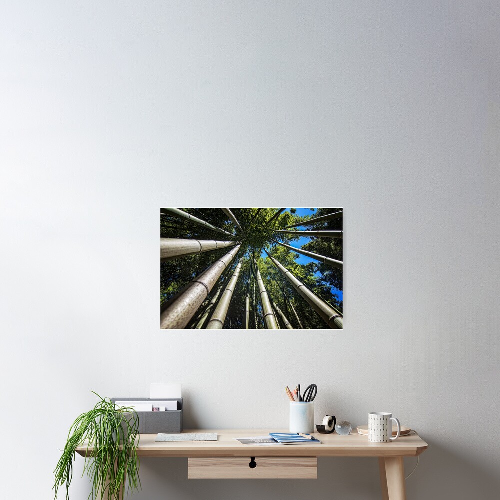 Vista previa del artículo con la obra «Póster», diseñado y vendido por FranJ.