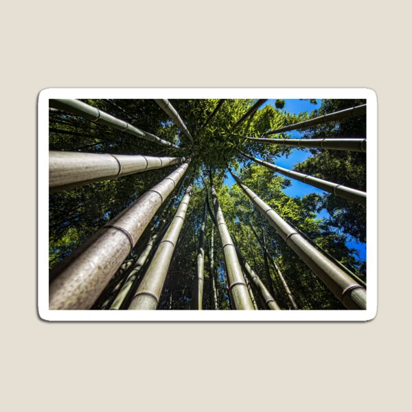 Item preview, Bamboo Shoots designed and sold by FranJ.