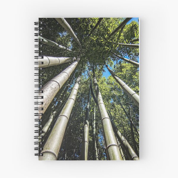 Item preview, Bamboo Shoots designed and sold by FranJ.