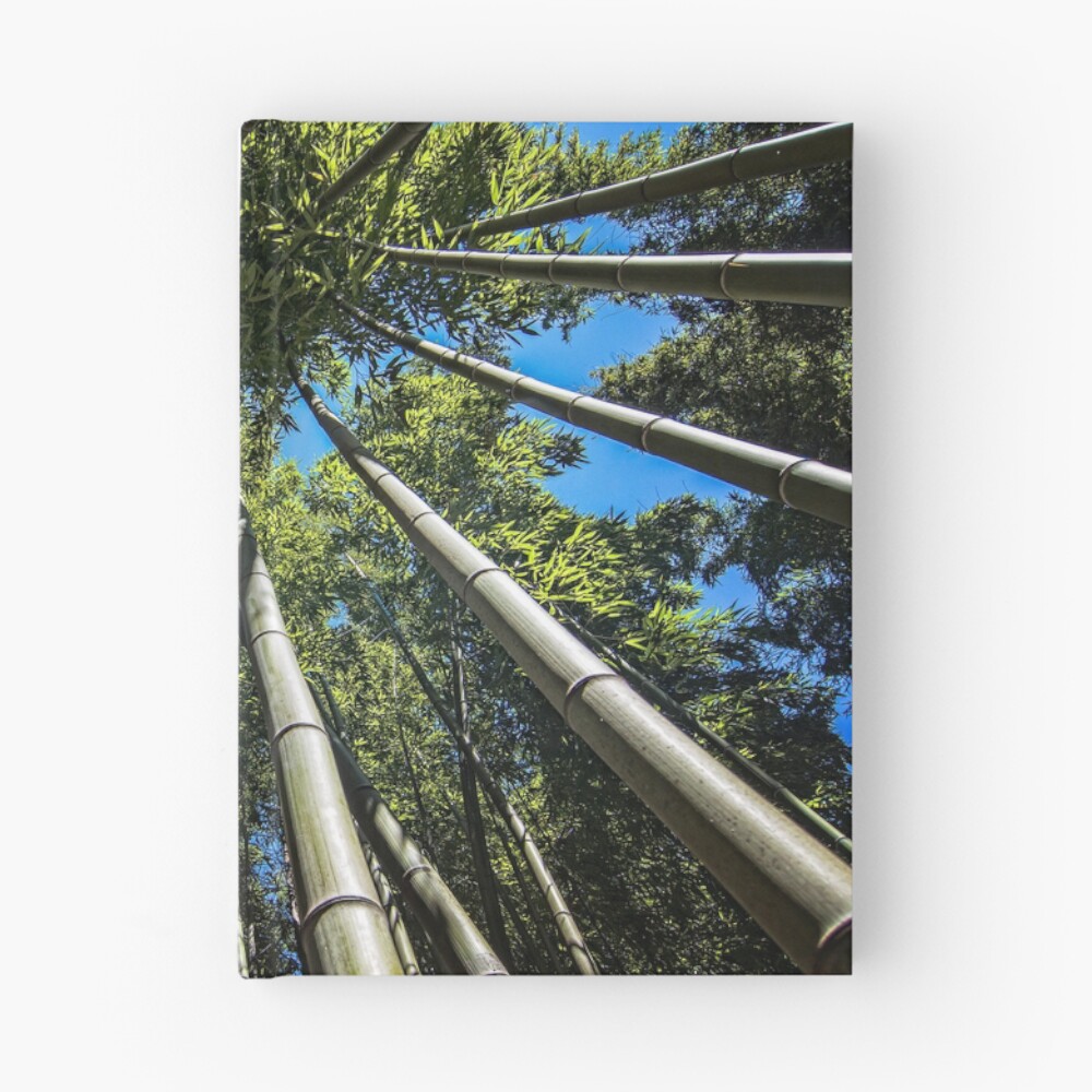 Vista previa del artículo con la obra «Cuaderno de tapa dura», diseñado y vendido por FranJ.