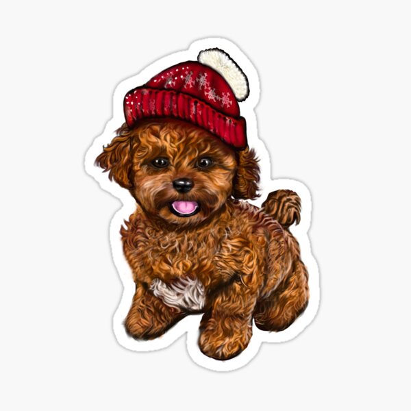 Cavapoo items best sale