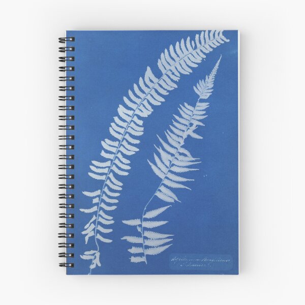 Item preview, Fern Cyanotype by Anna Atkins, 1854 designed and sold by Vintage Wall Art.