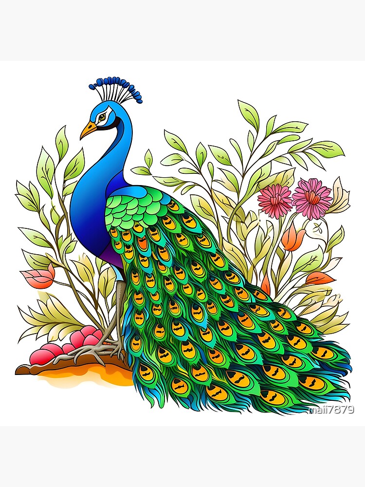 Peacock Drawing