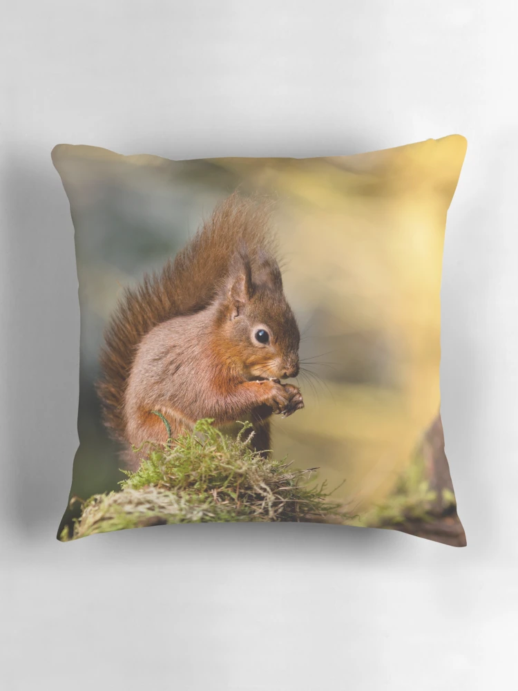 Aperçu 3 sur 4. Coussin avec l'œuvre Les Rouges du Yorkshire créée et vendue par FranJ.