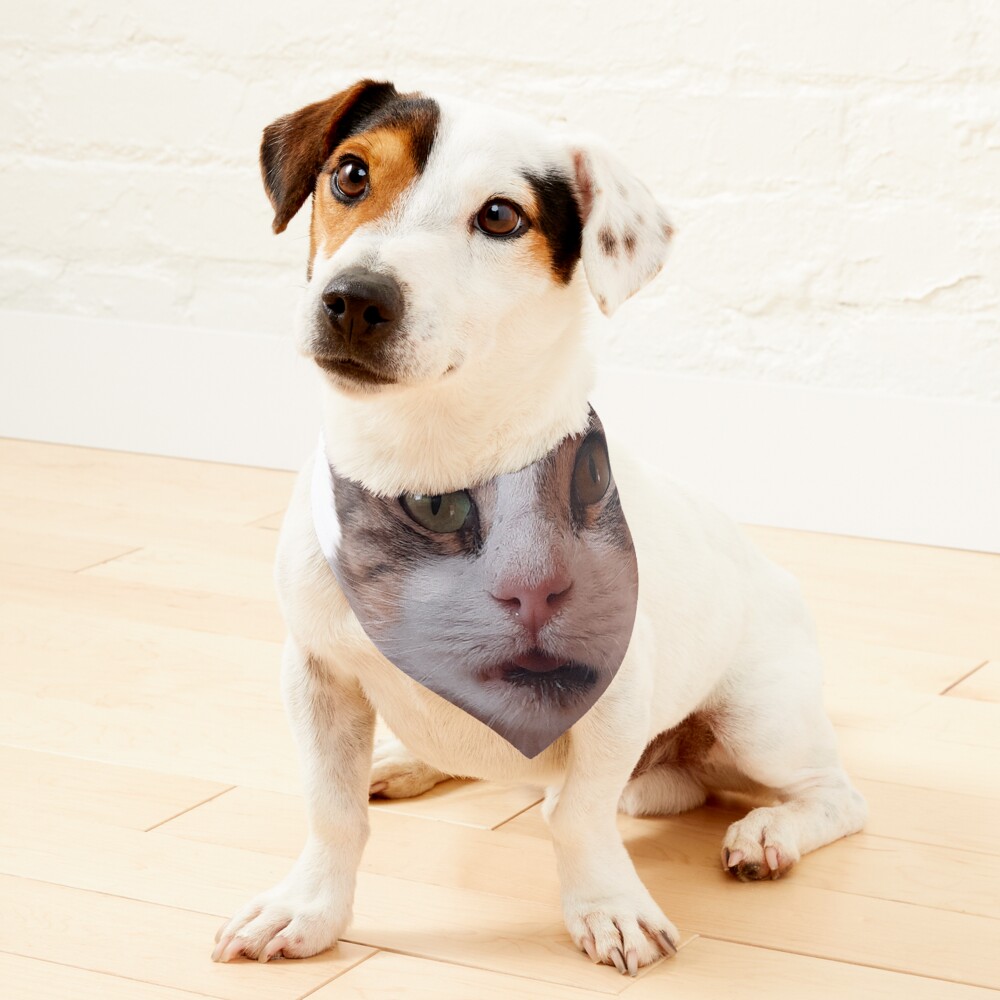 Item preview, Pet Bandana designed and sold by akramovic009.