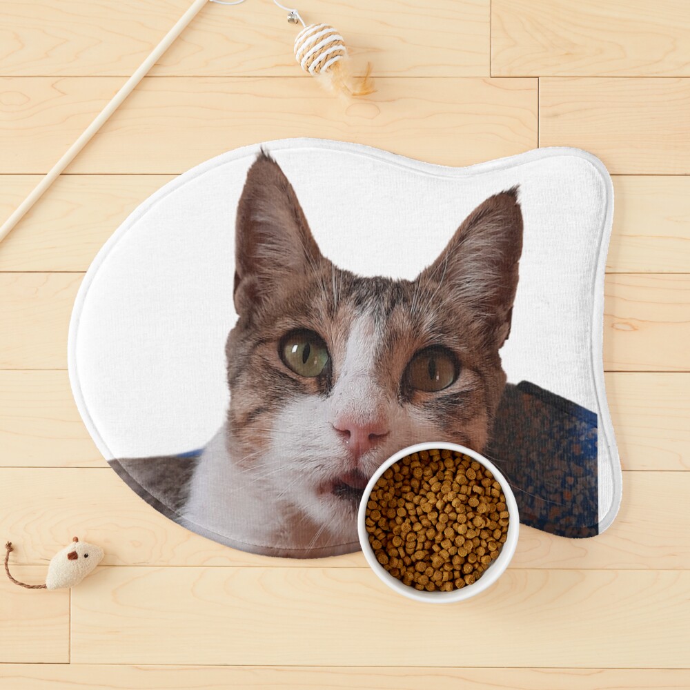 Item preview, Cat Mat designed and sold by akramovic009.