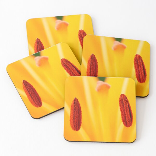 Item preview, Lilium  'Brunello'  Asiatic Lily  Close up of anthers  designed and sold by Chris Burrows.
