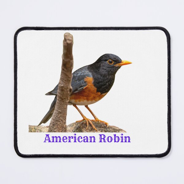 Item preview, American Robin designed and sold by NG4ever.