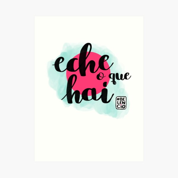 Eche o que hai Lámina artística