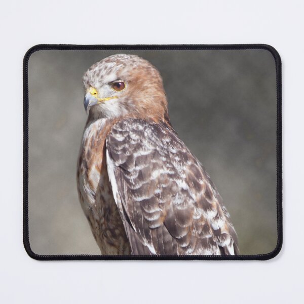 Item preview, Red-Tailed Hawk designed and sold by Krys Bailey.