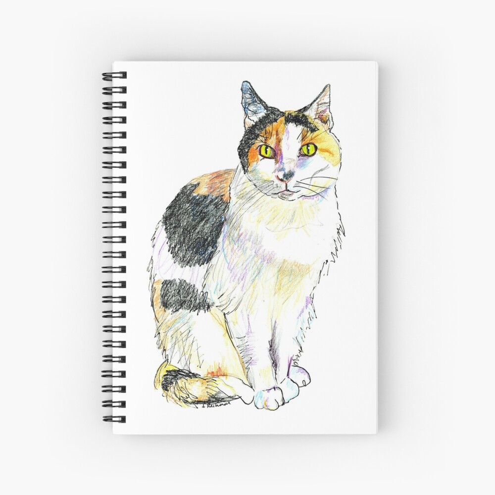 Calico Cat Art Print By Krchmar Redbubble
