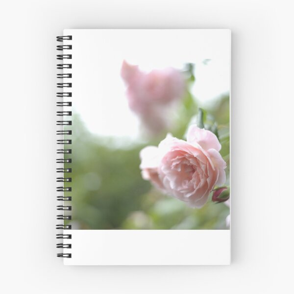 Item preview, A rose with a soft dreamy background designed and sold by JessicaKeegan.