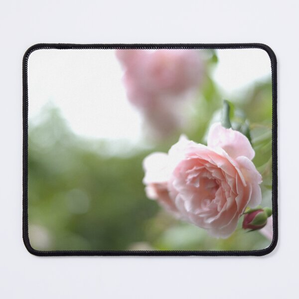 Item preview, A rose with a soft dreamy background designed and sold by JessicaKeegan.