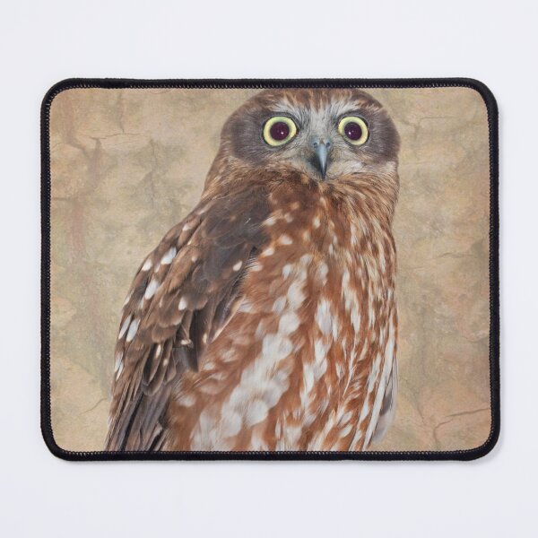 Item preview, Boobook Owl designed and sold by Krys Bailey.