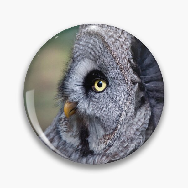 Item preview, Great Grey Owl designed and sold by Krys Bailey.